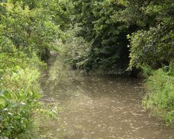 Výmola 1-část toku v Úvalech 22.7.04 (1).jpg